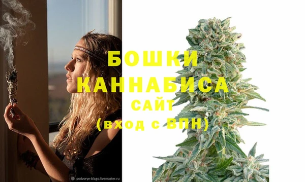 СК Богородск