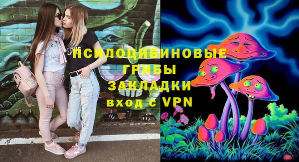 MDMA Богородицк