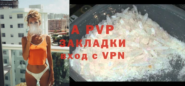 дживик Богданович
