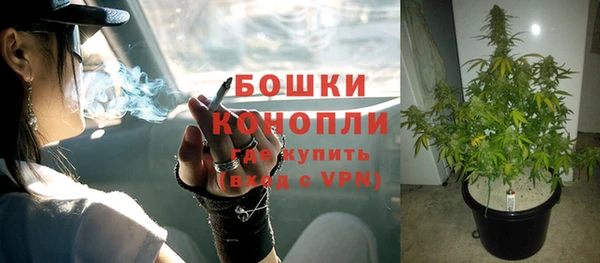 СК Богородск